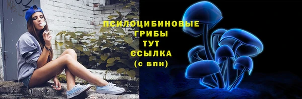 дживик Беломорск