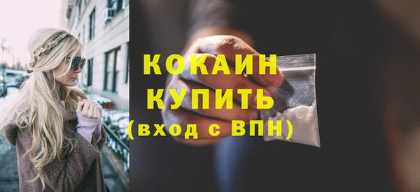 дмт Богданович