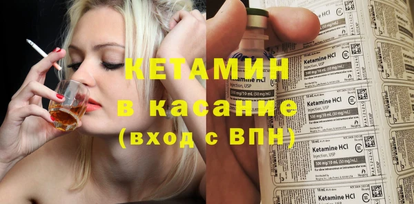 дмт Богданович