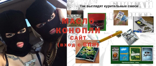 дмт Богданович