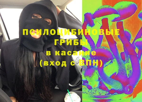 дмт Богданович