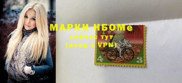 стаф Богородск
